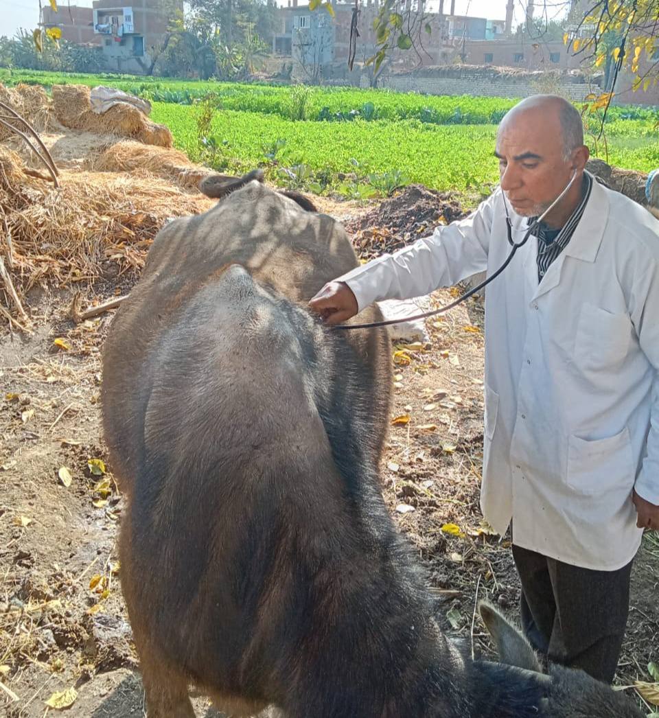 كلية الطب البيطري جامعة الزقازيق توجه قافلة مجانية لقرية أولاد مهنا -بلبيس-الشرقية