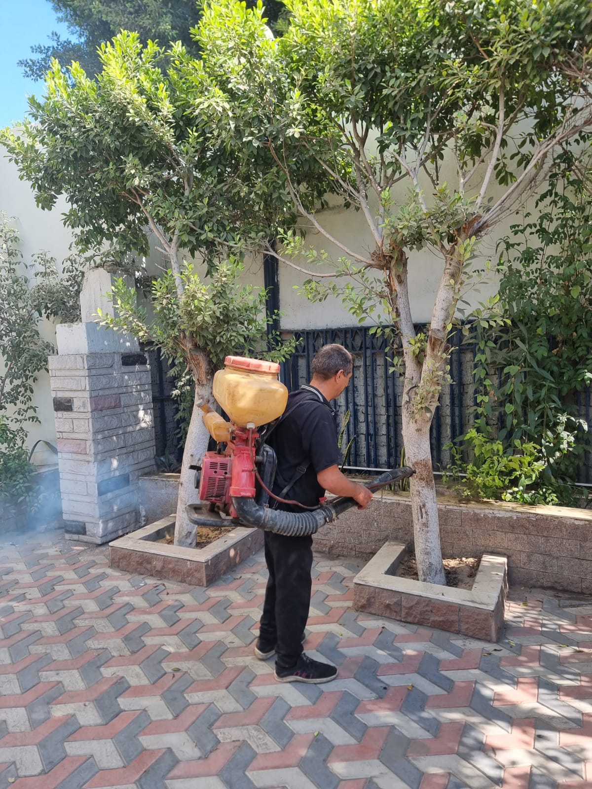 المعهد يحافظ على الحديقة الدائرية الخاصة به عن طريق مكاحة الآفات الزراعية