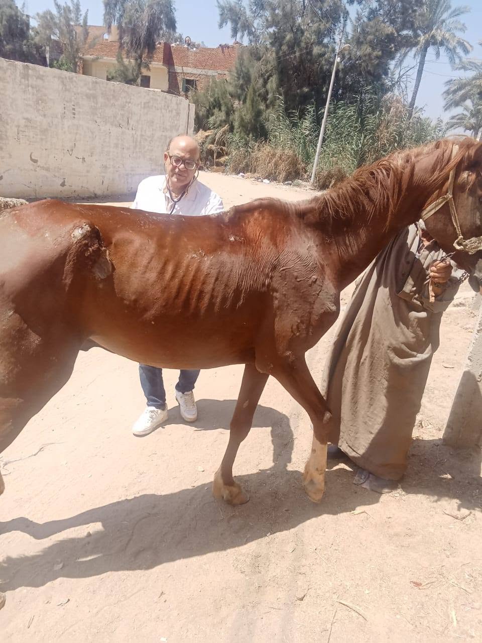 The Faculty of Veterinary Medicine at Zagazig University completes its free veterinary caravan program for the year 2026